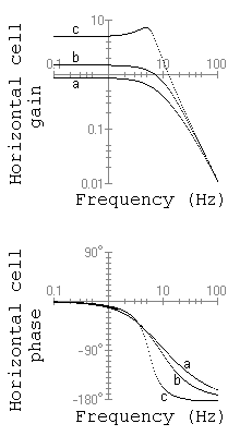 HC frequency response functions